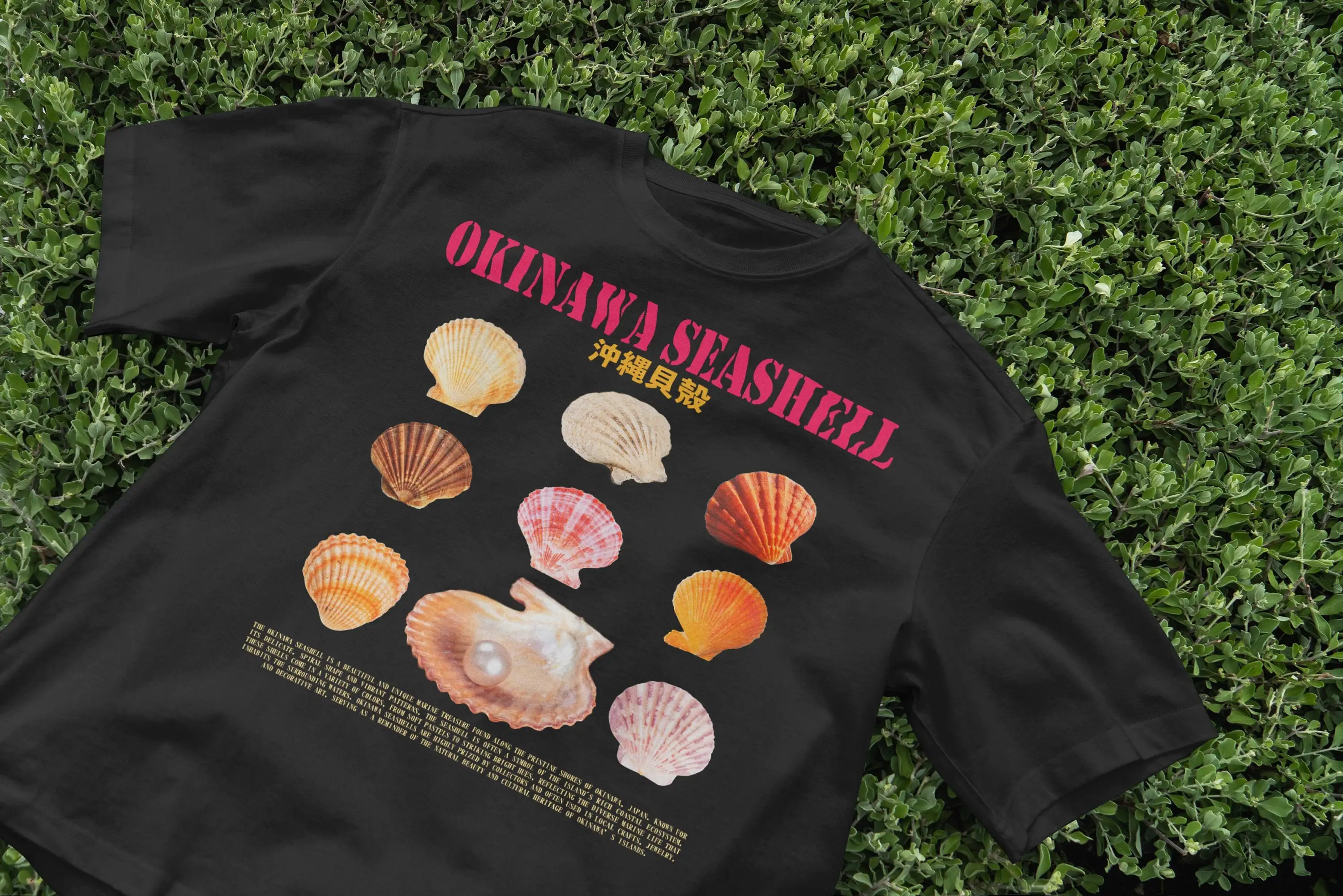 Okinawa Seashell T Shirt Ocean - Japanese Man Lifestyle review and price